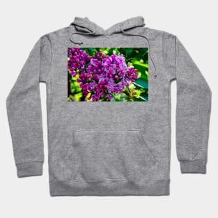 Lilacs Hoodie